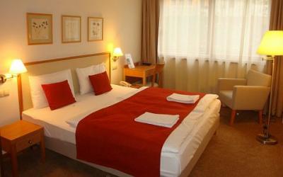 Double room in Hotel Castle Garden - new 4-star hotel in Budapest - ✔️ Hotel Castle Garden**** Budapest - 4 star hotel in the Castle District in Budapest