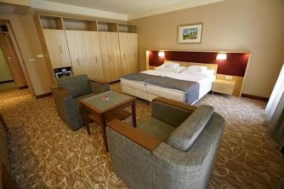 Nice double room with French bed in Hotel Drava 4* - Dráva Hotel**** Thermal Resort Harkány - wellness and thermal hotel special offer in Harkany