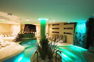 Experience pool in 4* Vital Hotel Nautis in Gardony - Vital Hotel Nautis**** Gardony - wellness hotel at Lake Velence, Hotel Nautis